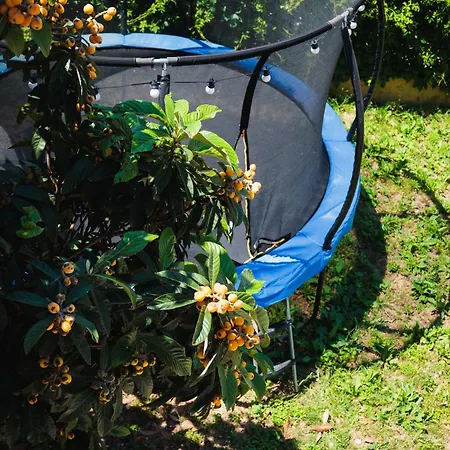 Apartamento Lovrich